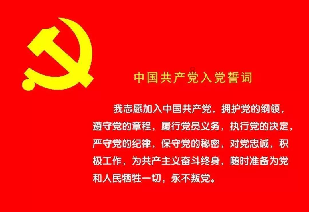 水培圣女果迎来丰收